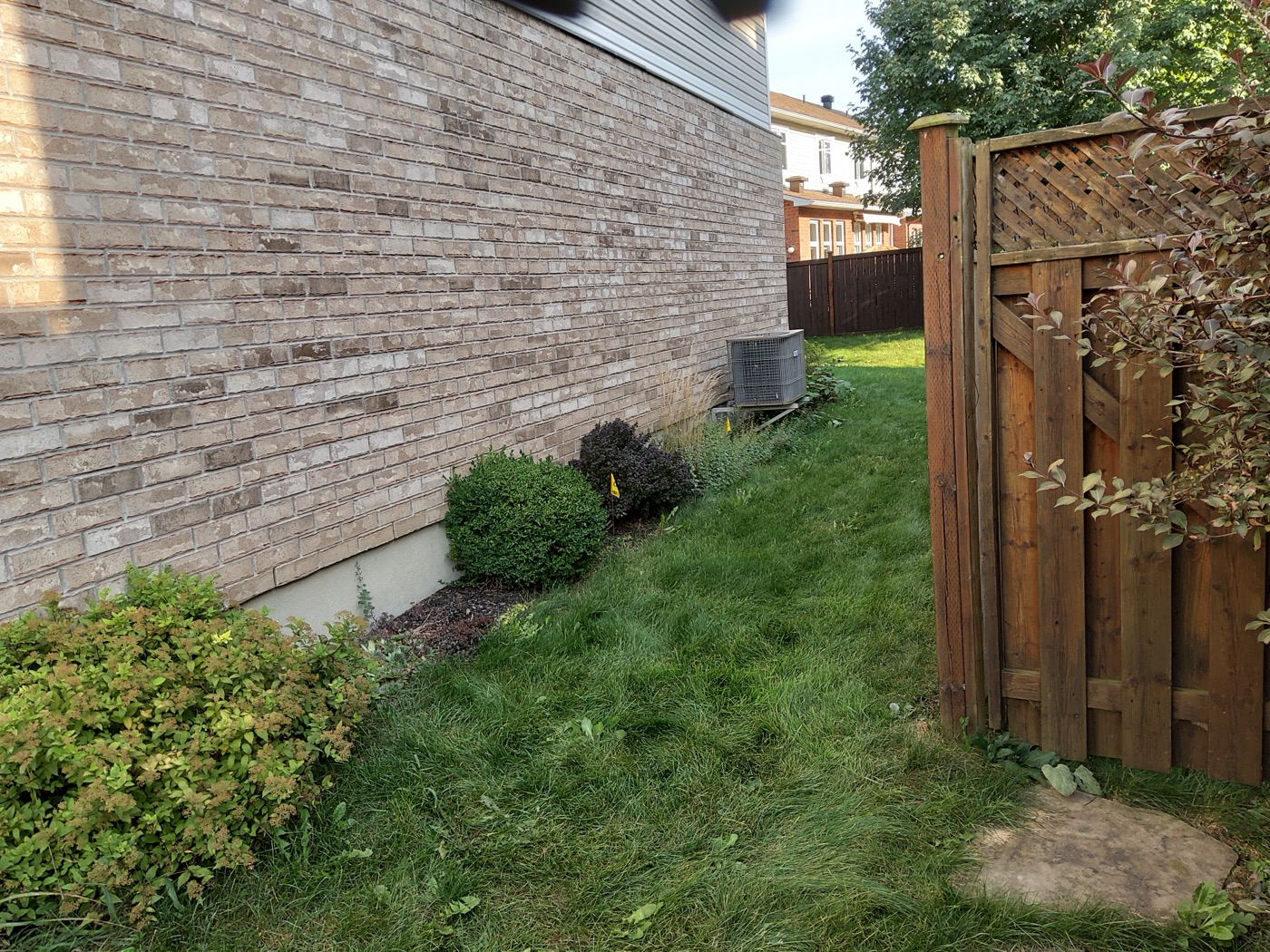 Residential side yard before exterior service work